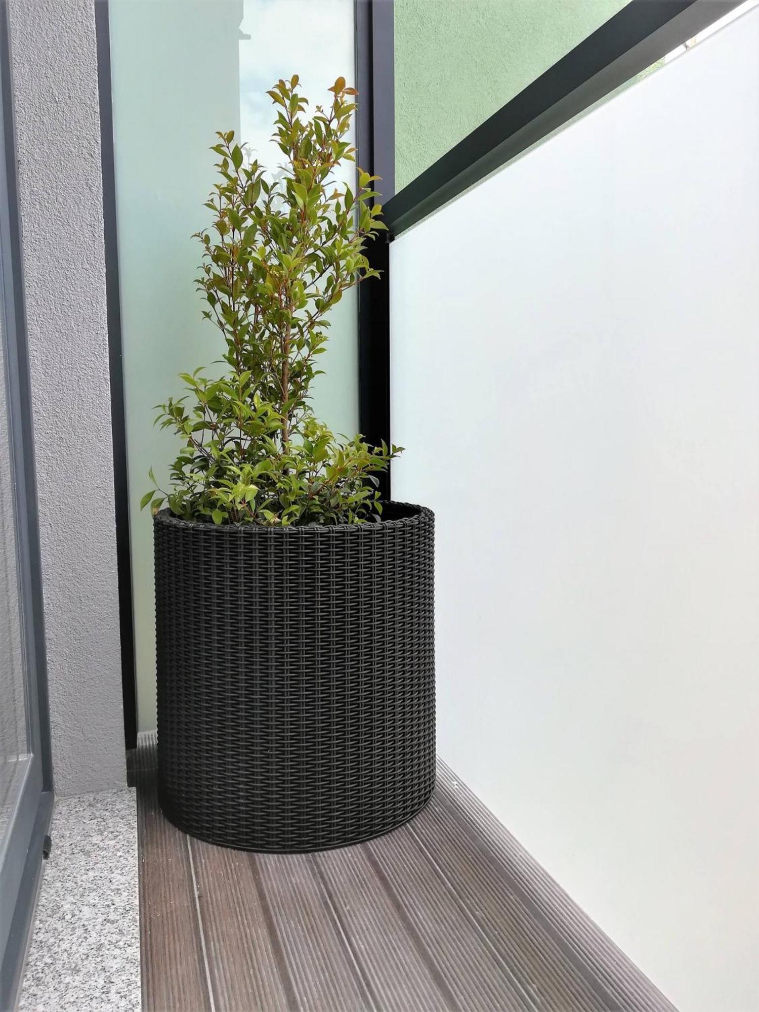 Aposentus - Your Home At Pinheiro'S Studio 波尔图 外观 照片